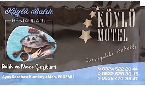 Köylü Motel / farklı baskı — baskılı ıslak mendil baskı örneği